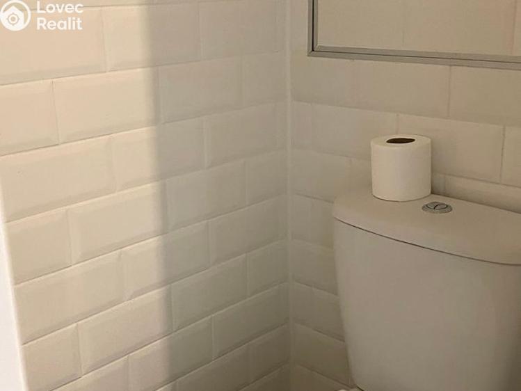 Pronájem bytu 1+1 Roudnice nad Labem, Alej 17. listopadu č. 9