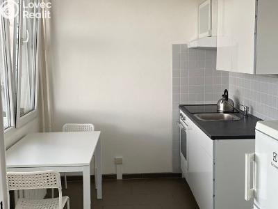 Pronájem bytu 1+1 Roudnice nad Labem, Alej 17. listopadu č. 3