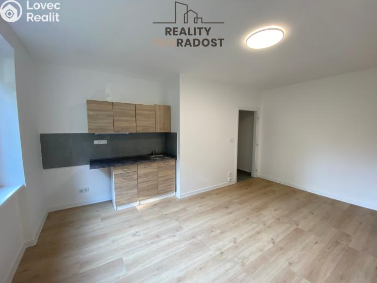 Pronájem bytu 1+KK Havířov, Družstevnická č. 1