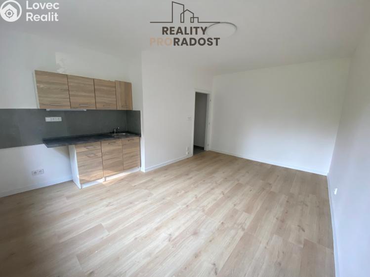 Pronájem bytu 1+KK Havířov, Družstevnická č. 3