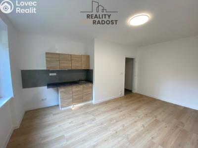 Pronájem bytu 1+KK Havířov, Družstevnická č. 1