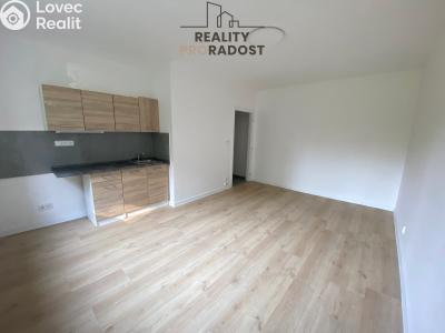 Pronájem bytu 1+KK Havířov, Družstevnická č. 3