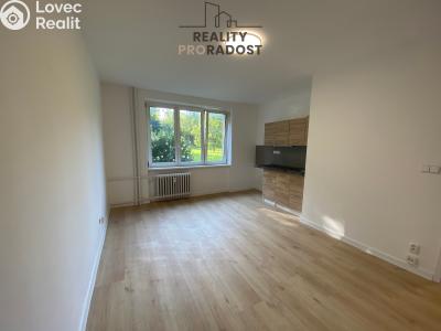 Pronájem bytu 1+KK Havířov, Družstevnická č. 4