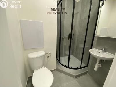 Pronájem bytu 1+KK Havířov, Družstevnická č. 5