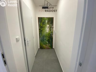 Pronájem bytu 1+KK Havířov, Družstevnická č. 6