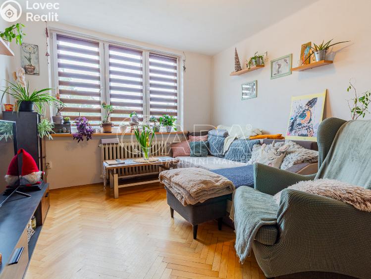 Prodej bytu 2+1 Písek, Budějovická 1686 č. 2