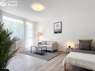 Pronájem bytu 1+KK Praha, Rumburská č. 1