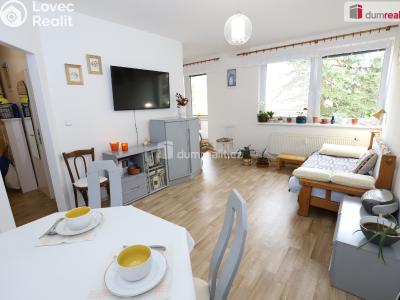 Sale apartment 2+1 Mariánské Lázně, Franze Kafky č. 1