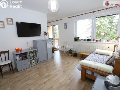 Sale apartment 2+1 Mariánské Lázně, Franze Kafky č. 3