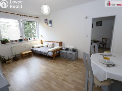 Sale apartment 2+1 Mariánské Lázně, Franze Kafky č. 4