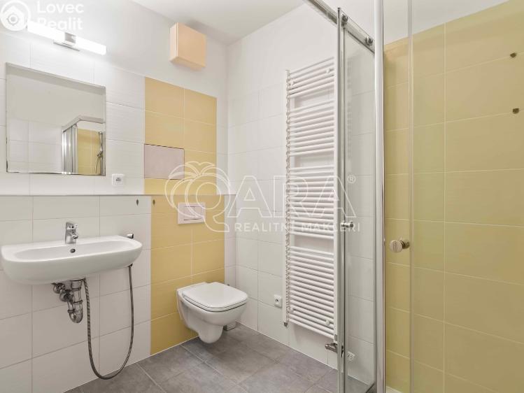 Rent apartment 3+KK Praha, Spojovací 205/24 č. 19