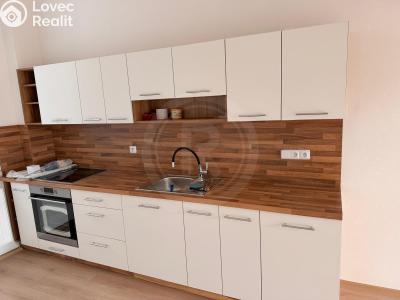 Pronájem bytu 3+1 České Budějovice, Karla IV. č. 1