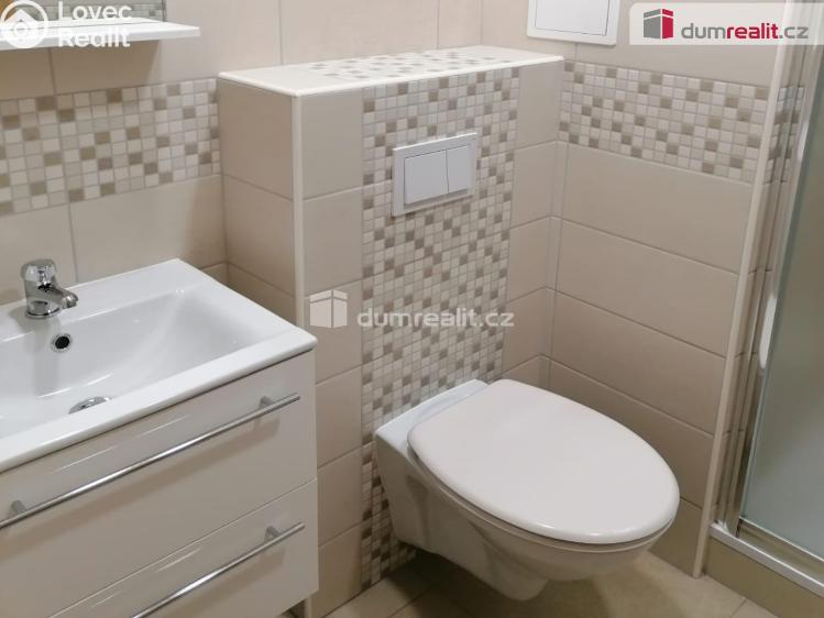 Pronájem bytu 1+KK Mariánské Lázně, Kubelíkova č. 7