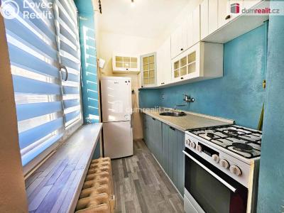 Rent apartment 1+KK Lovosice, Kostelní č. 1