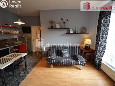 Rent apartment 1+KK Praha 5, Na Hřebenkách č. 1