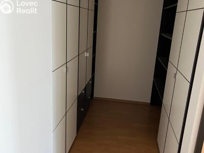 Pronájem bytu 2+KK Praha, Panuškova č. 5