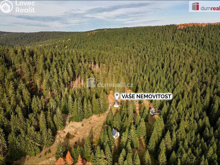 Prodej chalupy Nové Hamry č. 10