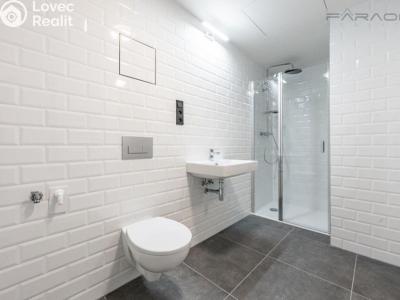 Pronájem bytu 1+KK Praha, Kolbenova č. 5