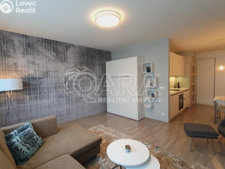 Pronájem bytu 1+KK Praha, Petržílkova 2835/1 č. 4