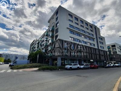 Pronájem bytu 1+KK Praha, Petržílkova č. 3