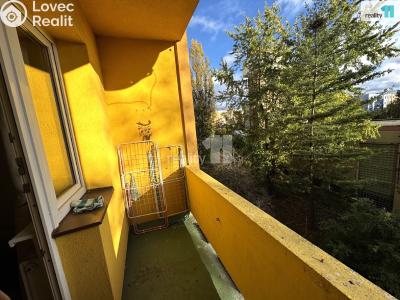 Pronájem bytu 2+1 Praha 4, Rabasova č. 5