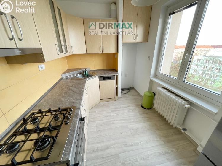 Pronájem bytu 2+1 Plzeň, Klatovská třída 2431/101 č. 13