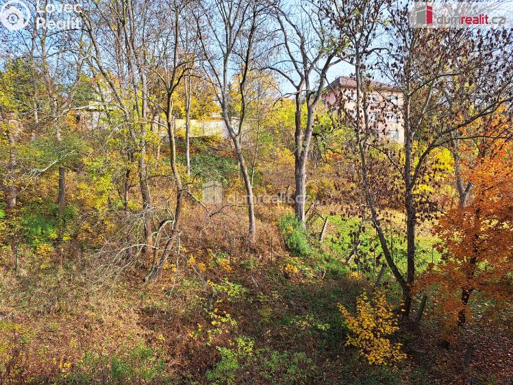 Pronájem bytu 1+1 Ústí nad Labem, Masarykova č. 12