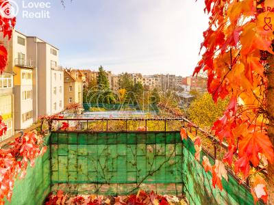 Продажа квартиры 3+1 Brno, Slovinská č. 11