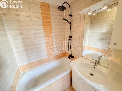 Оренда квартири 3+1 České Budějovice, J. Opletala č. 7