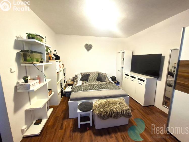 Оренда квартири 1+1 Velešín, Sídliště č. 4