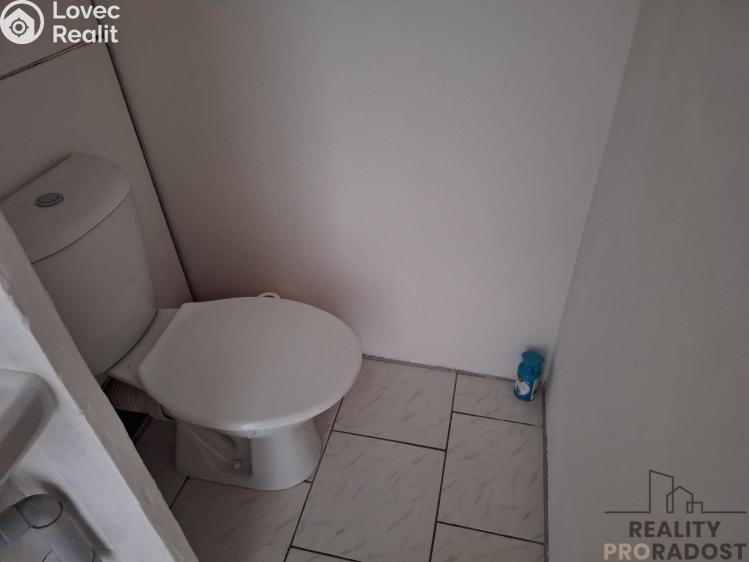 Pronájem bytu 1+1 Děčín, Kosmonautů č. 6