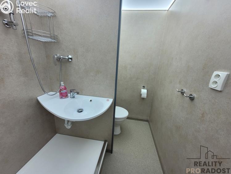 Pronájem bytu 1+1 Holešov, Novosady č. 3