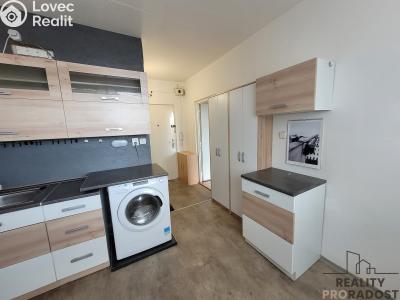 Pronájem bytu 1+1 Holešov, Novosady č. 1