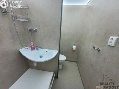 Pronájem bytu 1+1 Holešov, Novosady č. 3