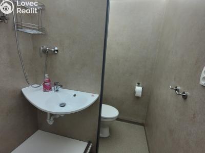 Pronájem bytu 1+1 Holešov, Novosady č. 4