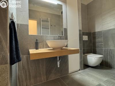 Pronájem bytu 2+KK Brandýs nad Labem-Stará Boleslav, U nemocnice 1936 č. 3