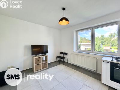 Pronájem bytu 2+KK Brandýs nad Labem-Stará Boleslav, U nemocnice 1936 č. 5