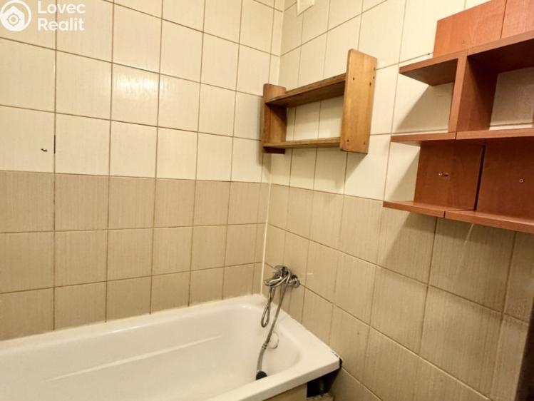 Pronájem bytu 3+1 Bukovany č. 11