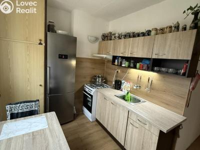 Pronájem bytu 3+1 Bukovany č. 1