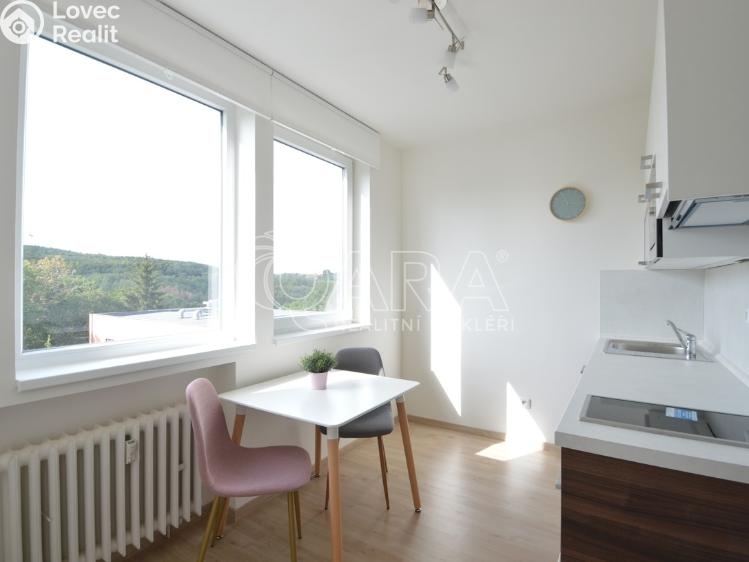 Аренда квартиры 1+1 Praha, Peroutkova 570/83 č. 8