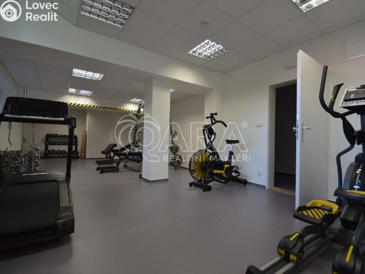 Аренда квартиры 1+1 Praha, Peroutkova 570/83 č. 21