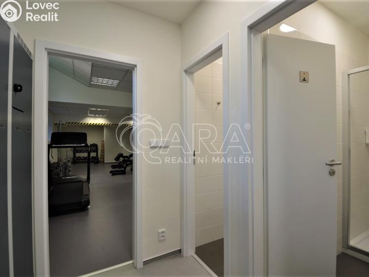 Pronájem bytu 1+1 Praha, Peroutkova 570/83 č. 22