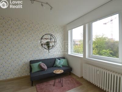 Pronájem bytu 1+1 Praha, Peroutkova č. 5