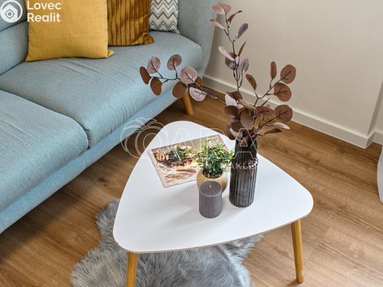 Pronájem bytu 2+1 Ostrava, Jugoslávská 2812/29 č. 10