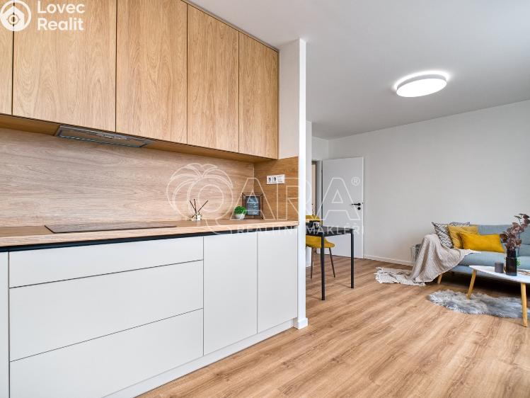 Pronájem bytu 2+1 Ostrava, Jugoslávská 2812/29 č. 17