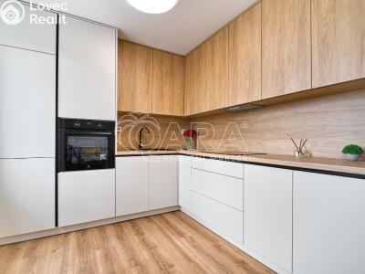 Pronájem bytu 2+1 Ostrava, Jugoslávská č. 1