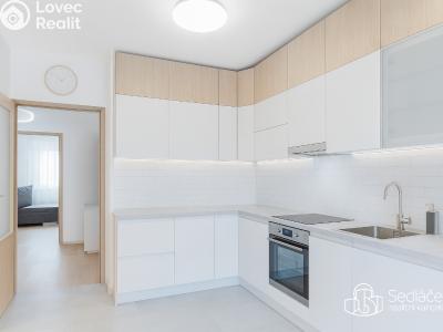 Prodej bytu 2+1 Praha, Radlická č. 3