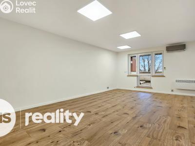 Pronájem bytu 3+KK Ostrava, U Staré elektrárny č. 4