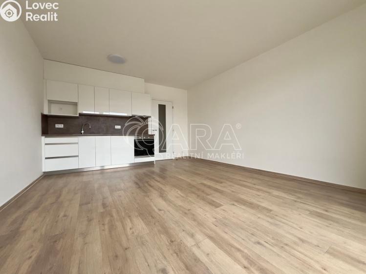 Pronájem bytu 1+KK Brno, Jižní 791/1b č. 3