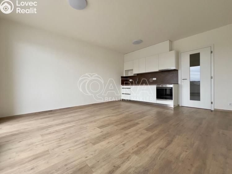 Pronájem bytu 1+KK Brno, Jižní 791/1b č. 5